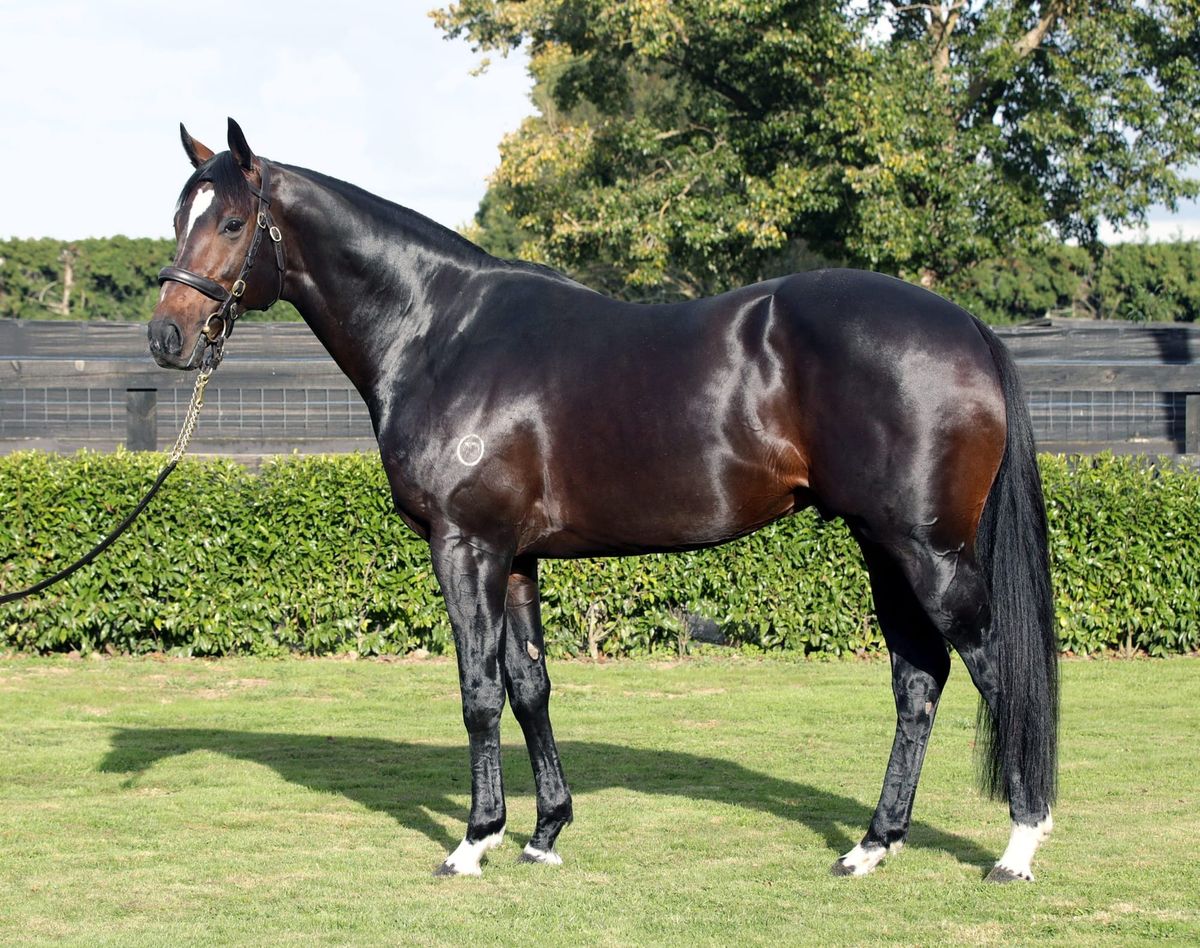 Novara Park announce 2020 service fees