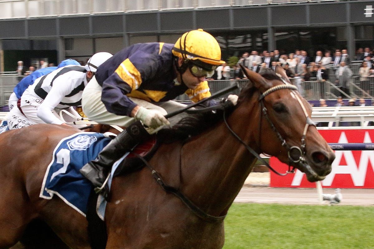 Tofane coming of age in Sydney
