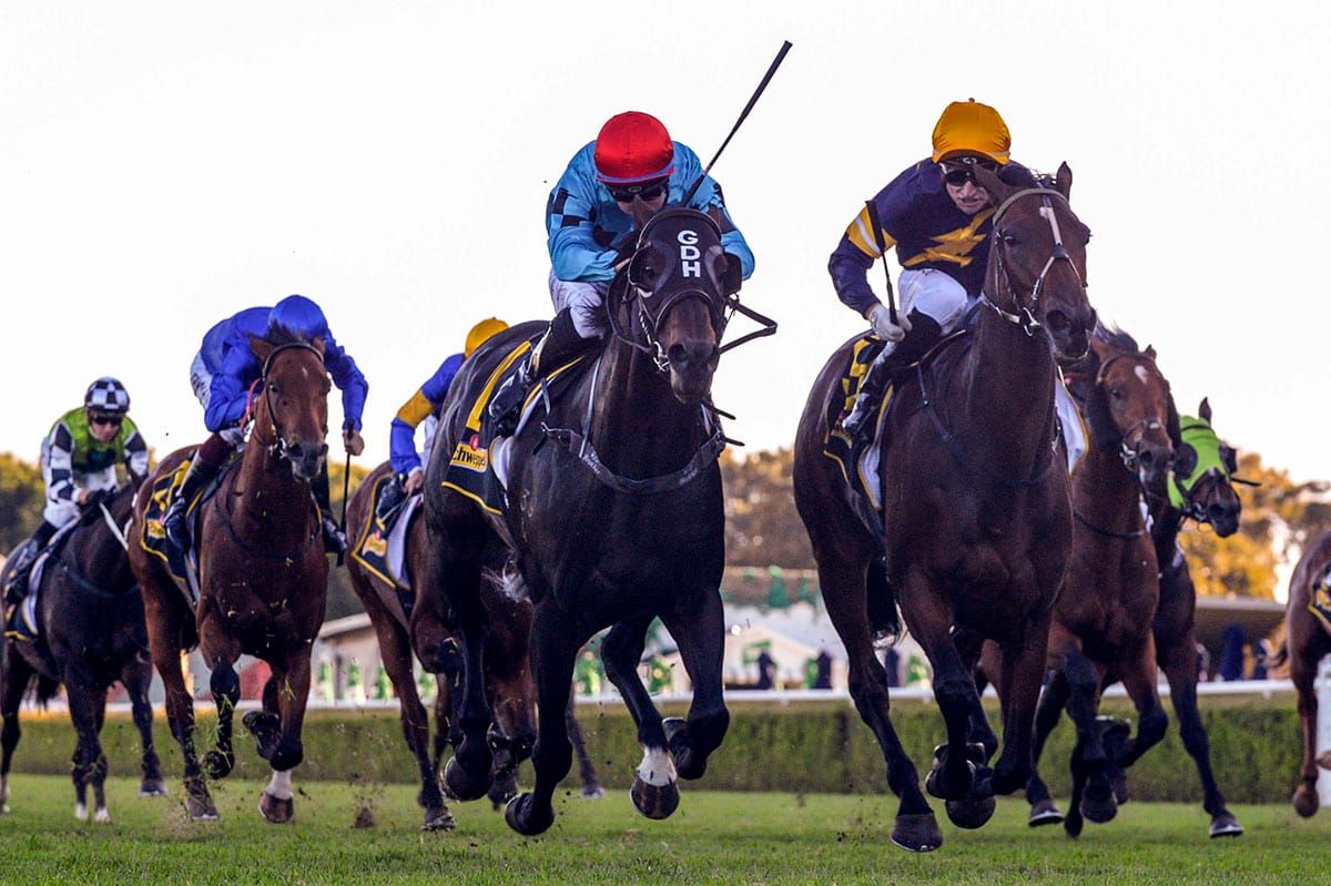Tofane secures Sydney Group One