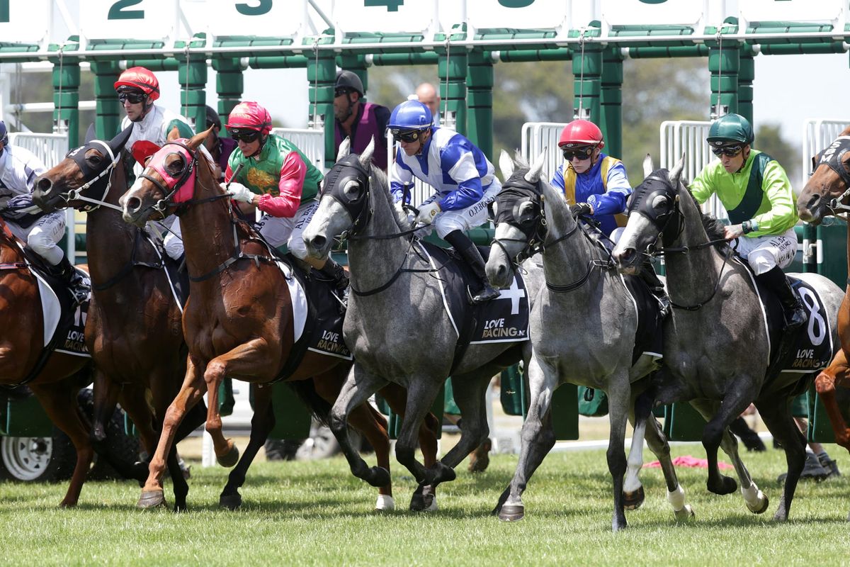 Draft racing calendar released