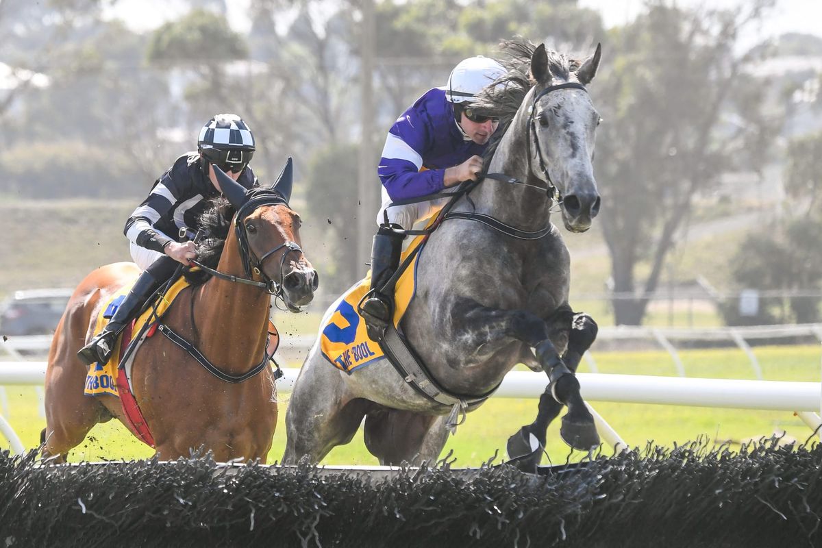 Woodsman pleases in Terang Cup