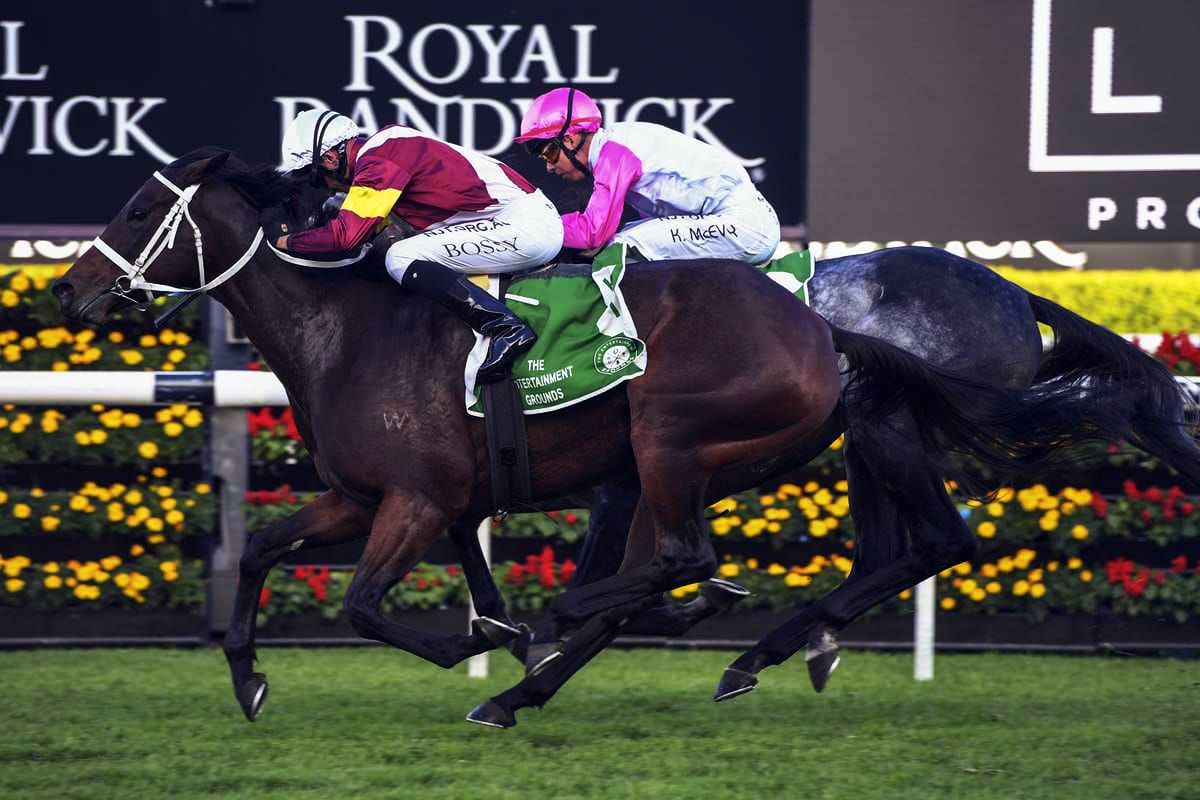 Another Dollar added to racemare's price