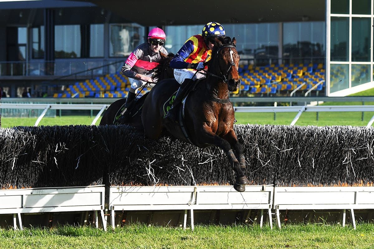 Hot streak continues for Raise The Flag