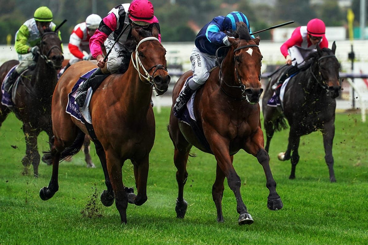 Hat-trick for resurrected Alfa Oro