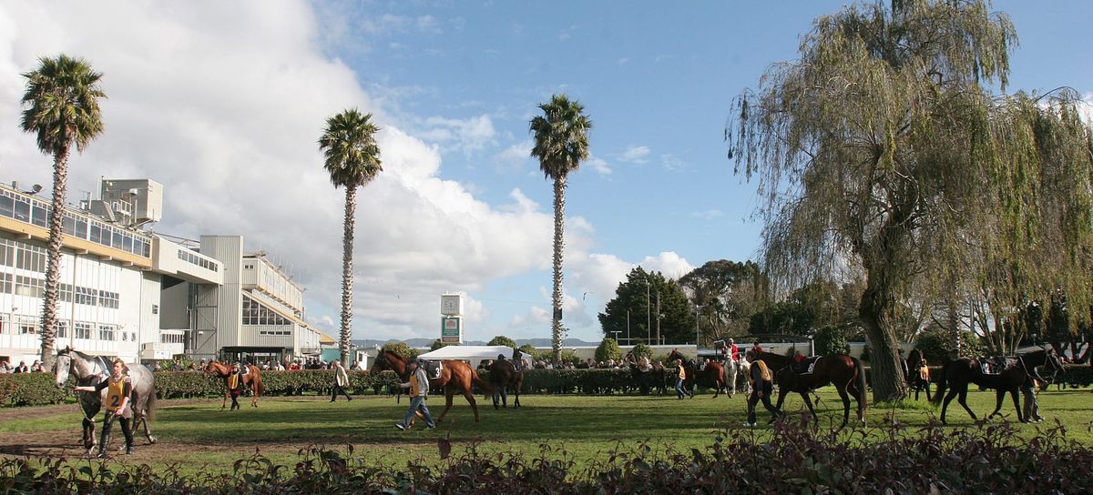 Venues reduced under draft racing calendar proposal