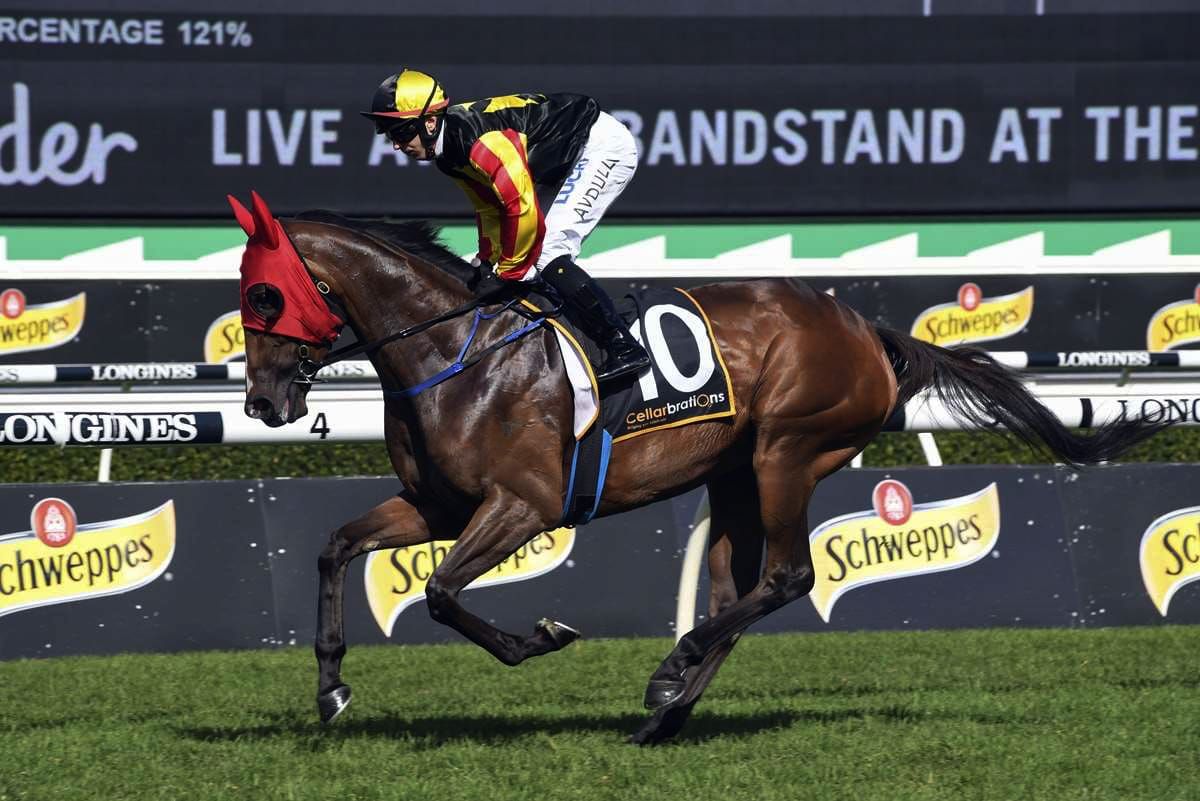 House of Cartier heads for a spell