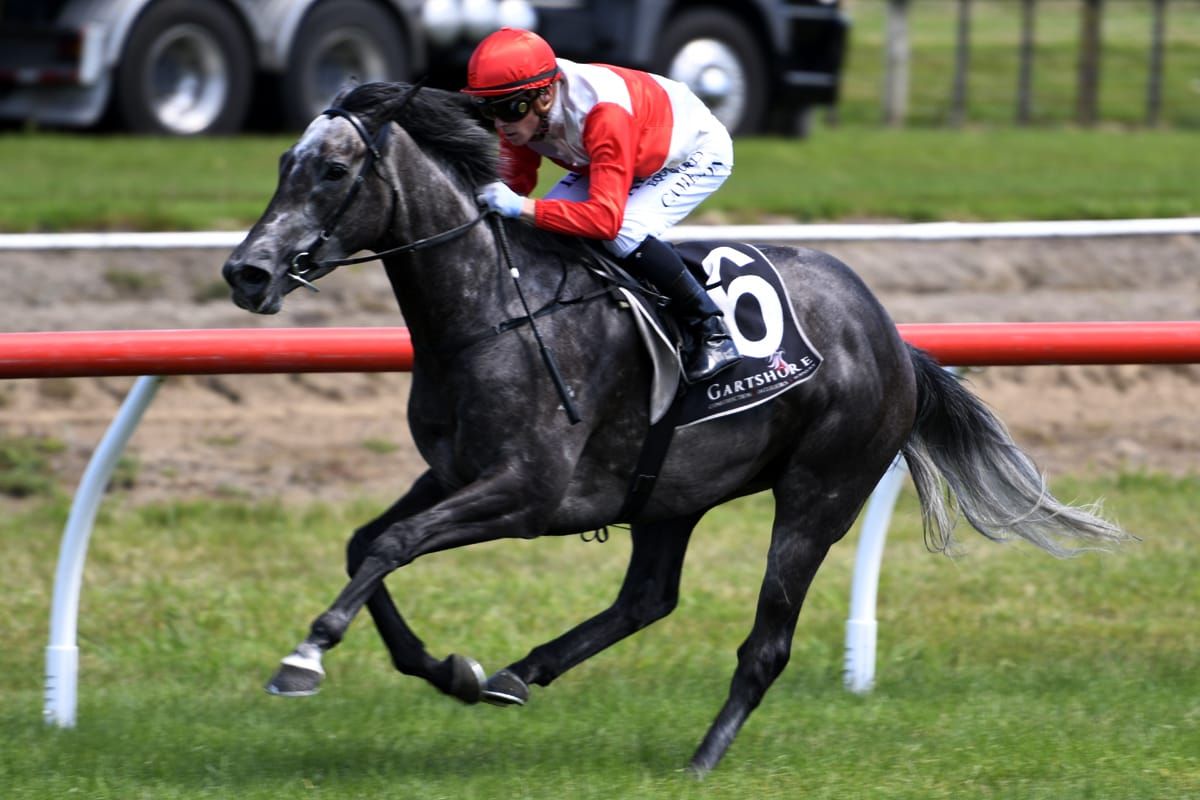 Clark has big plans for latest racetrack purchase