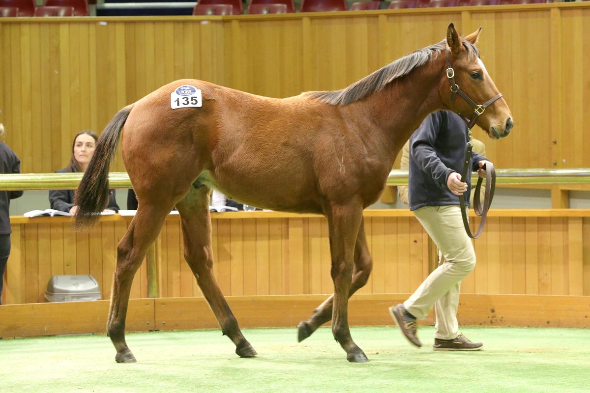 Entries Open for Inaugural Weanling Sale