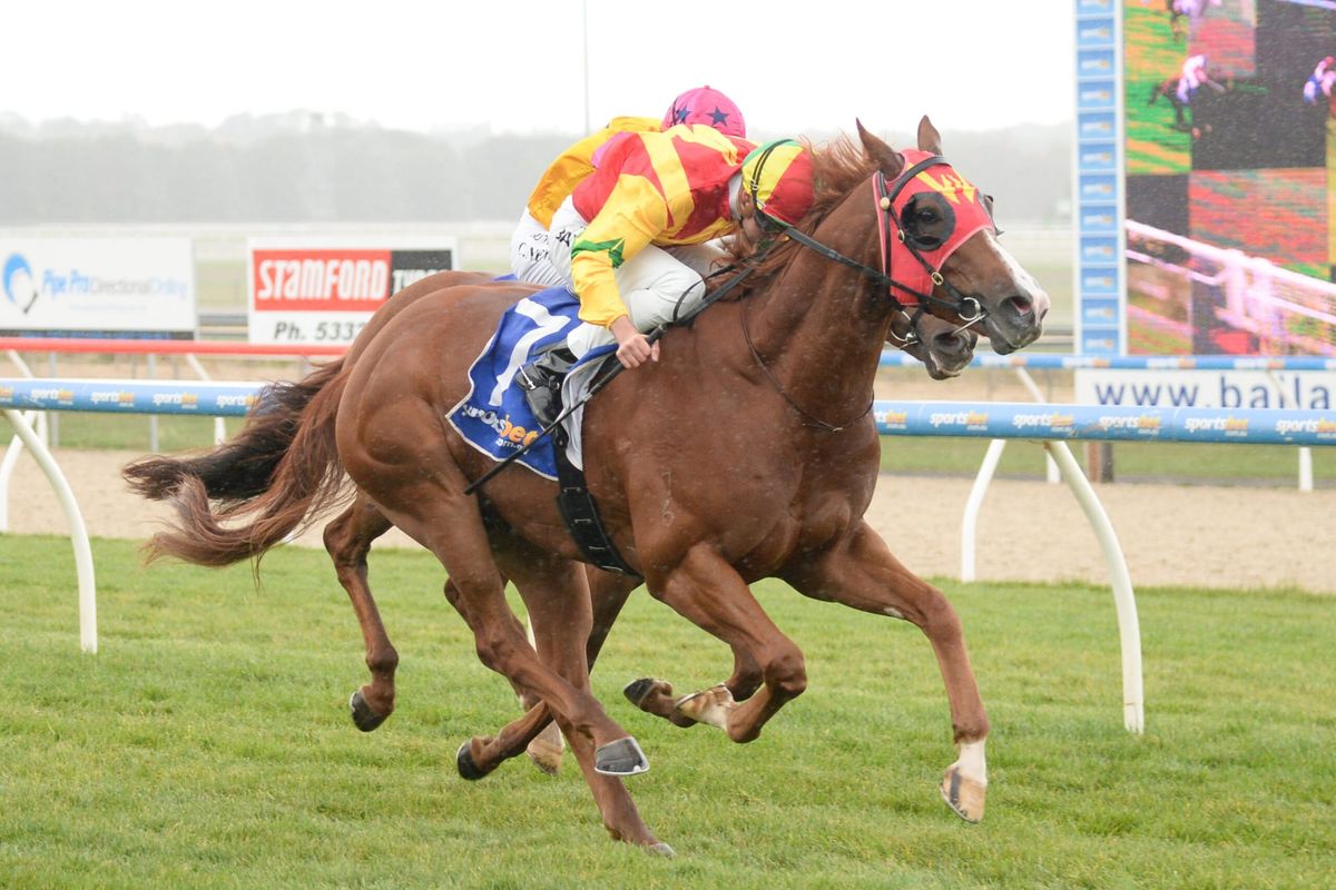 First winner for Pure Champion