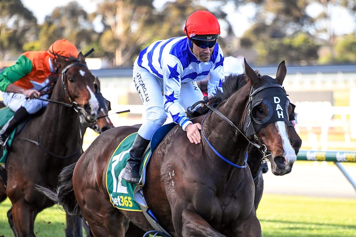 Master Montaro books ticket to Hong Kong