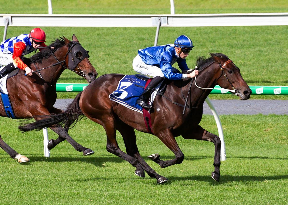 Oceanex shows class in Port Adelaide Cup