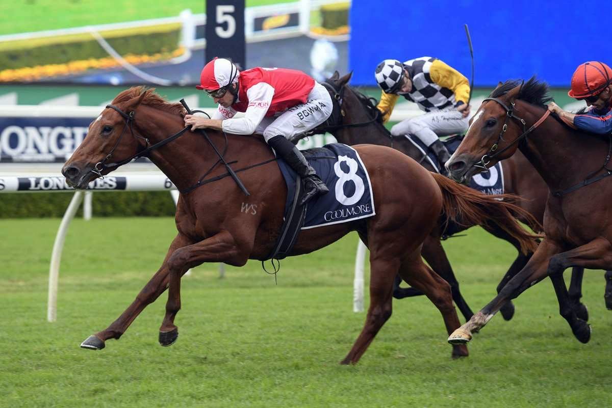 Future looks bright for impressive Randwick winner