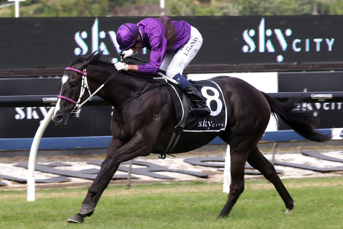 Latta welcomes Awapuni synthetic track