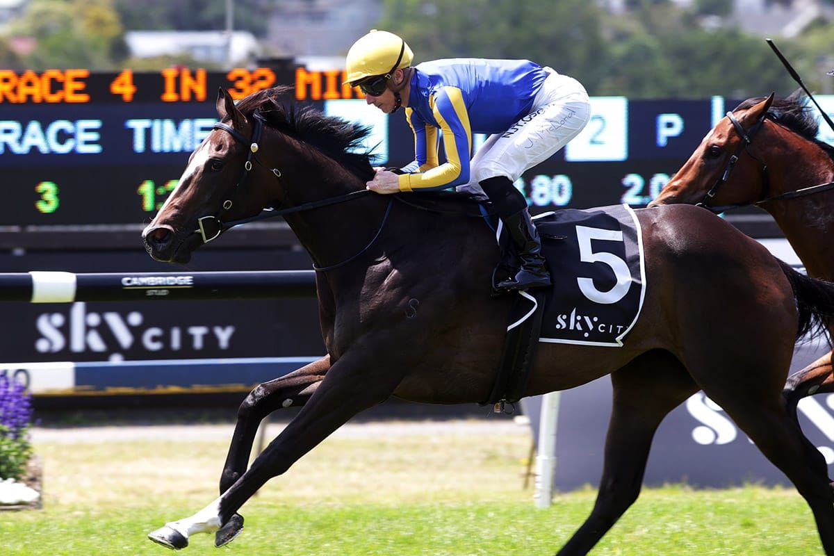 Tiley taking aim at summer features with Play That Song