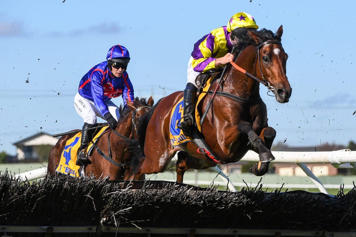 Dwyer’s punt pays off