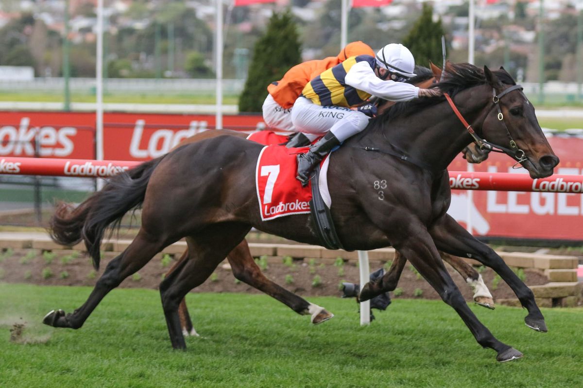 Begg happy with low draw for Romancer