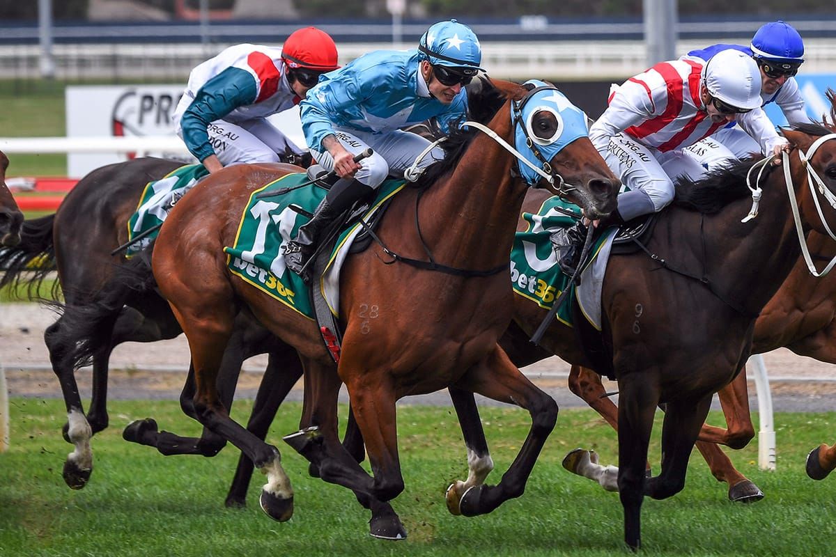 Saint Eustace primed for Derby tilt