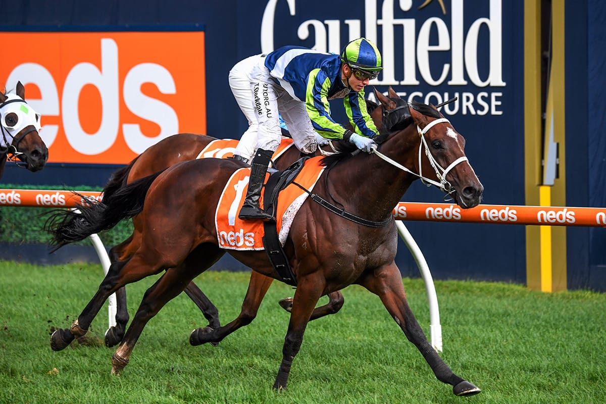 Rain softened tracks no concern for Busuttin
