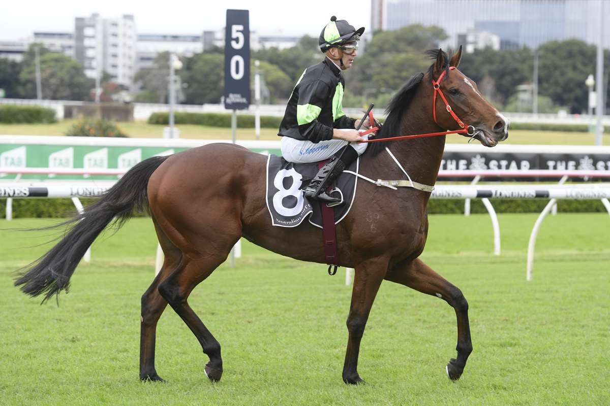 Pride eyeing Group Three assignment for Stockman