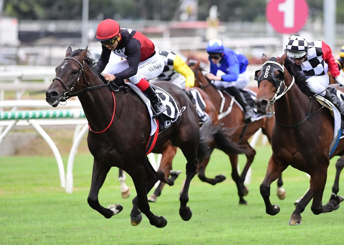 Costa taking giant strides to Rough Habit