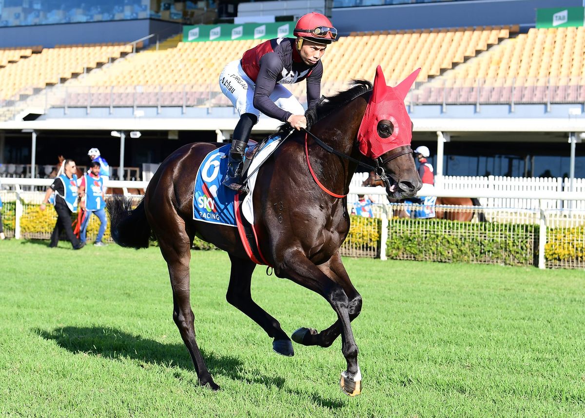 Costa takes giant steps to Gunsynd Classic