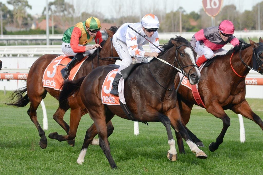 Tavistock speedster tenacious at Caulfield