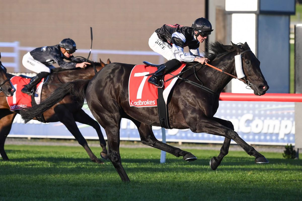 Dwyer chasing Warrnambool Cup win with Leopard