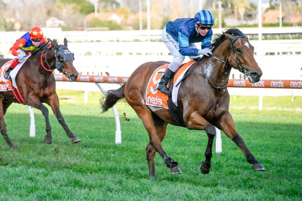 Alfa Oro shows class at Caulfield