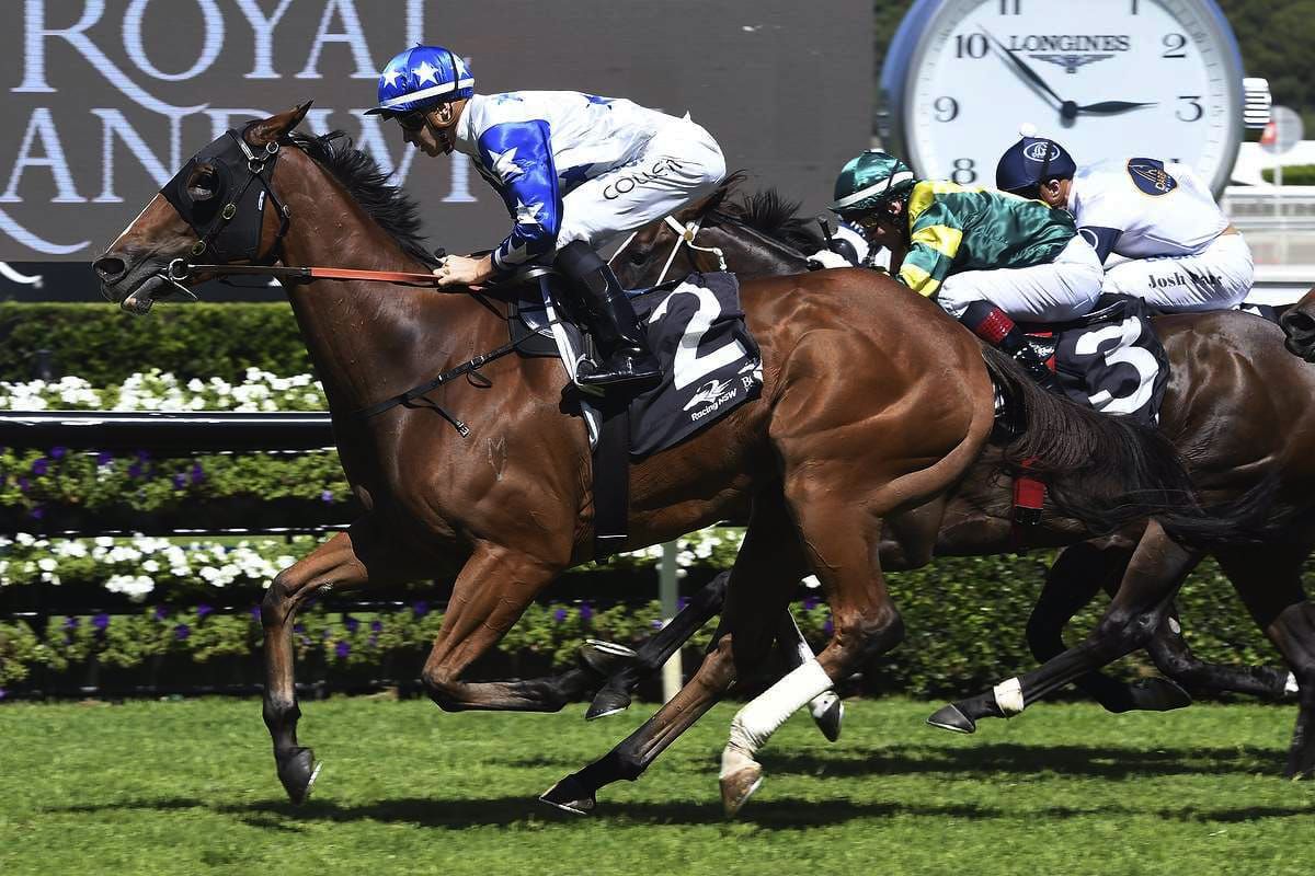 Crack Me Up primed for Civic Stakes