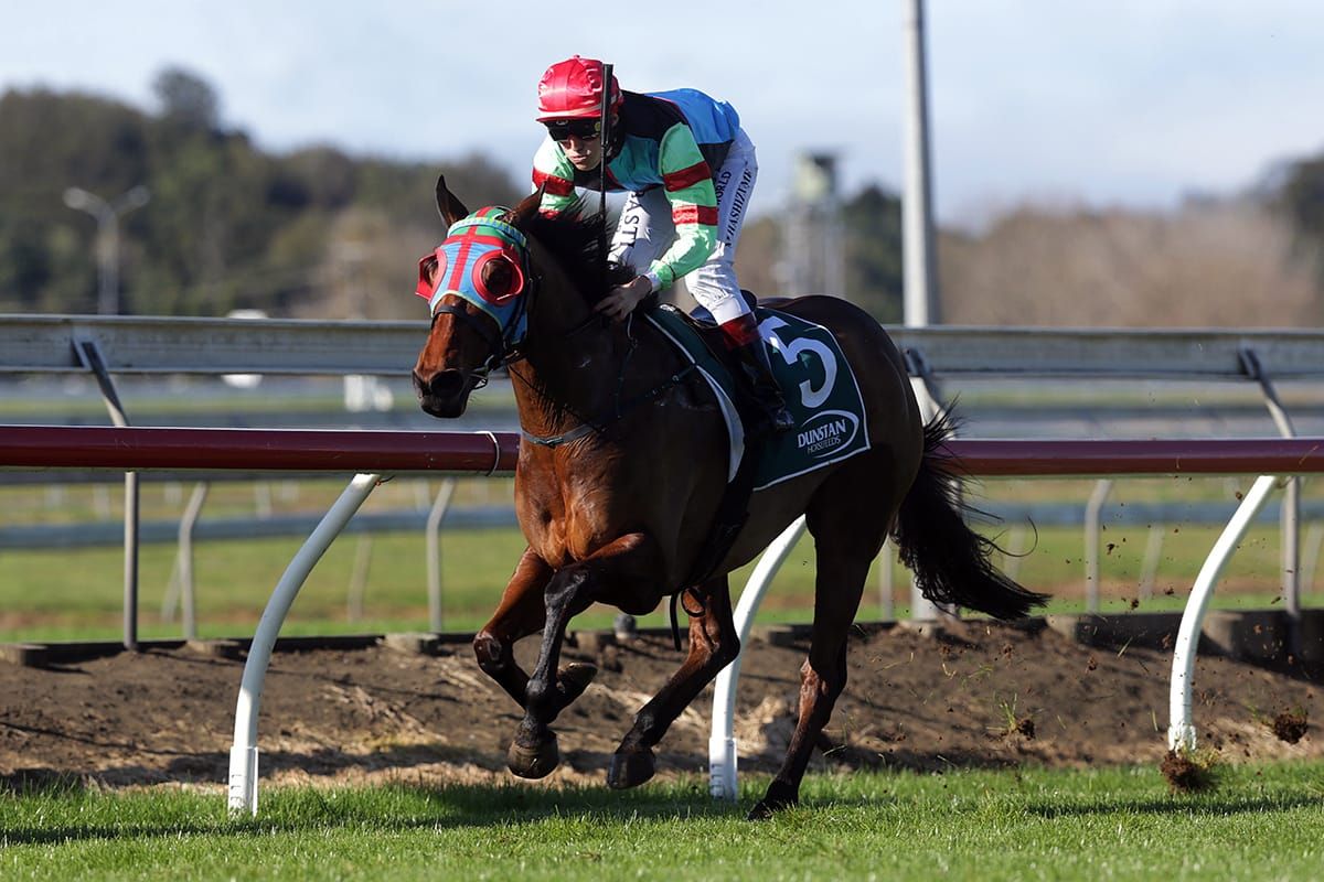 Ciao Italy, Kia Ora Pukekohe