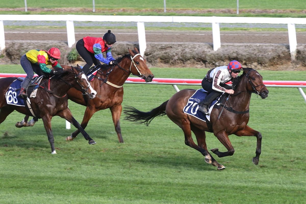 Forward showing from Pike team at Te Rapa hit-out