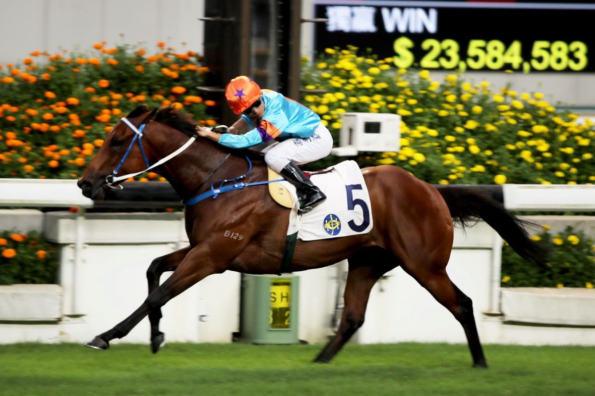 Former Kiwi star lands Hong Kong Group Three