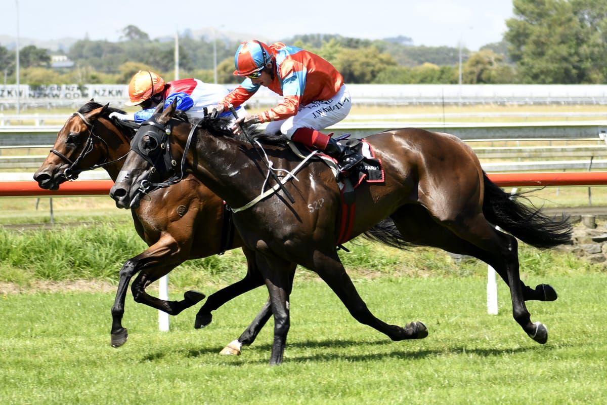 Demonetization impresses at Ellerslie