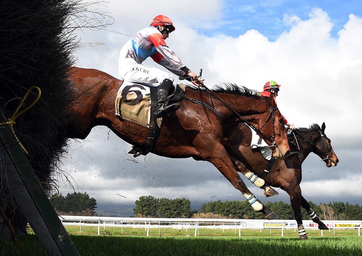 Jumping maestro back in action