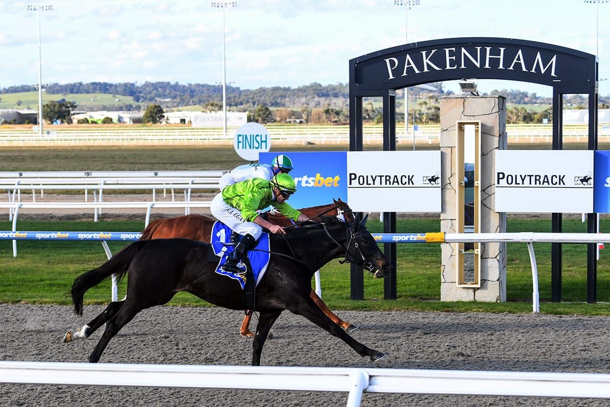 Diamondsandbubbles relishing Pakenham synthetic