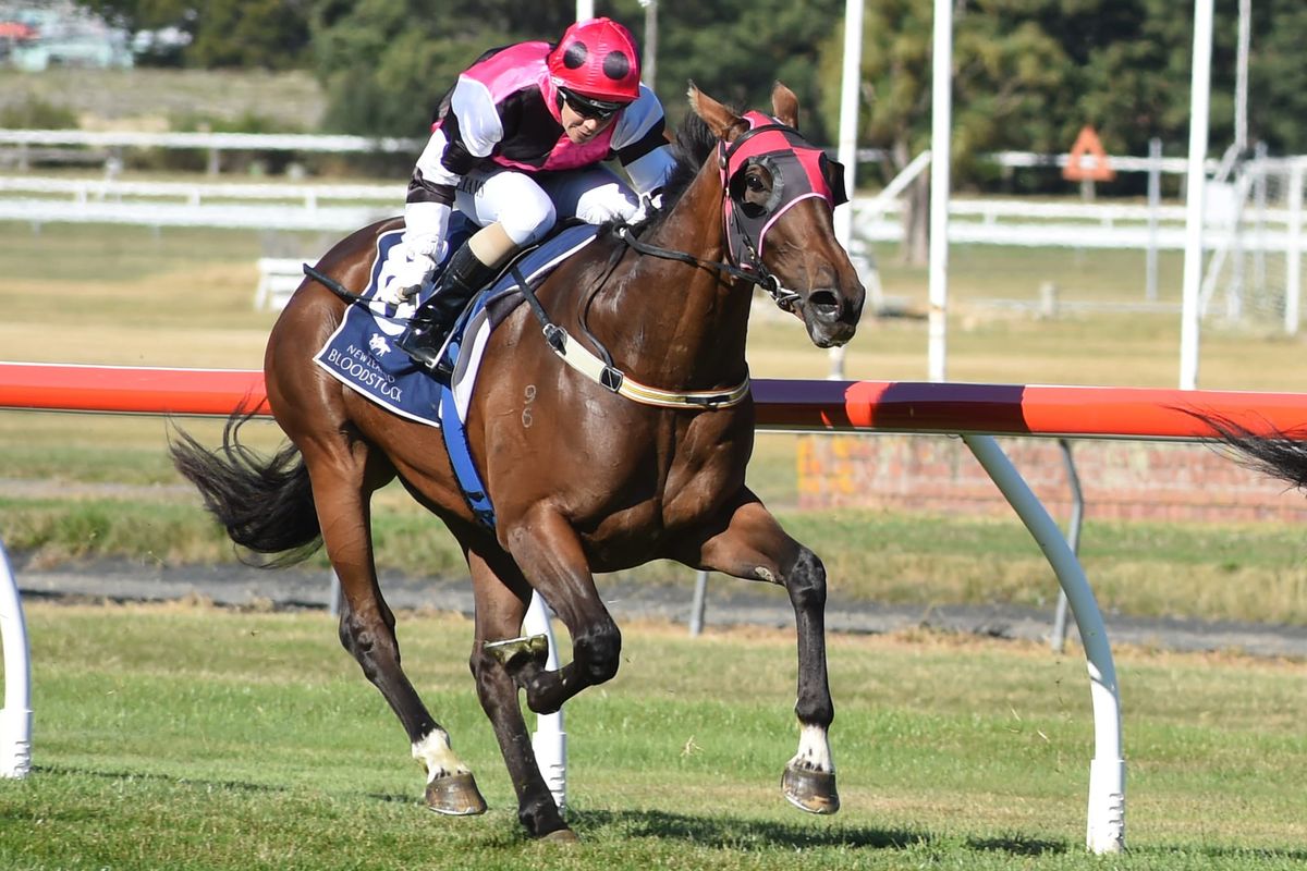 Oaks performer heads across the Tasman