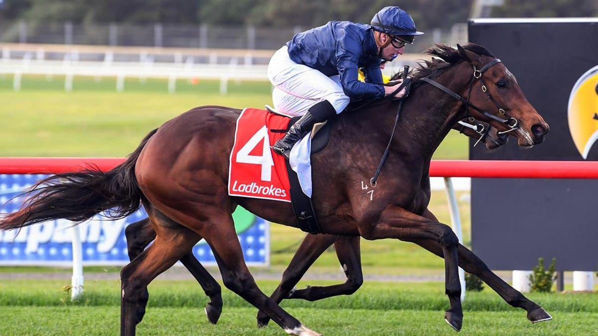 Lindsay Park duo tune up for Listed race