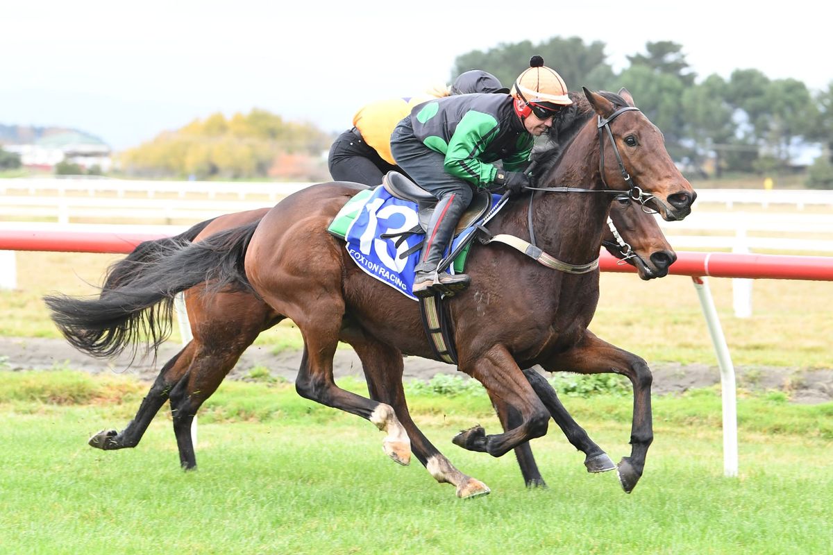Hooter to kick off at Wanganui