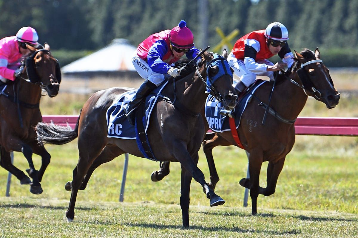 Bambry bullish the CD has the numbers