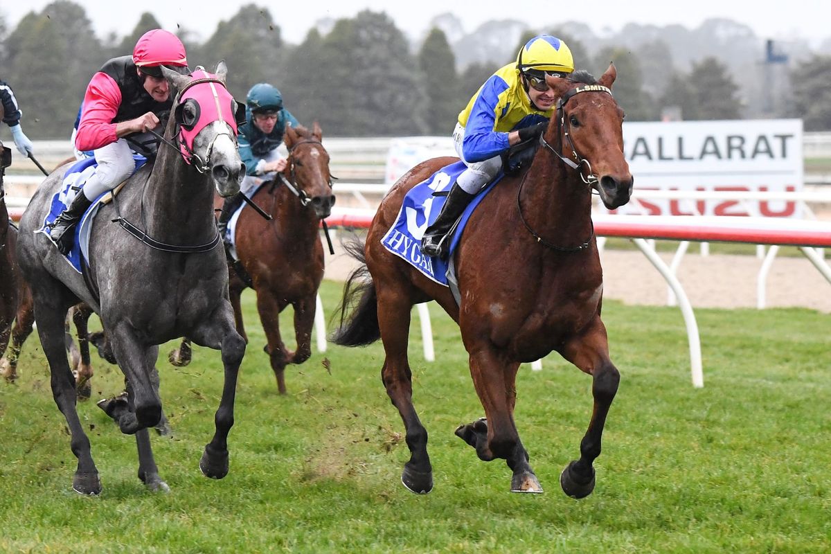 Spicer keen on Kiwi imports