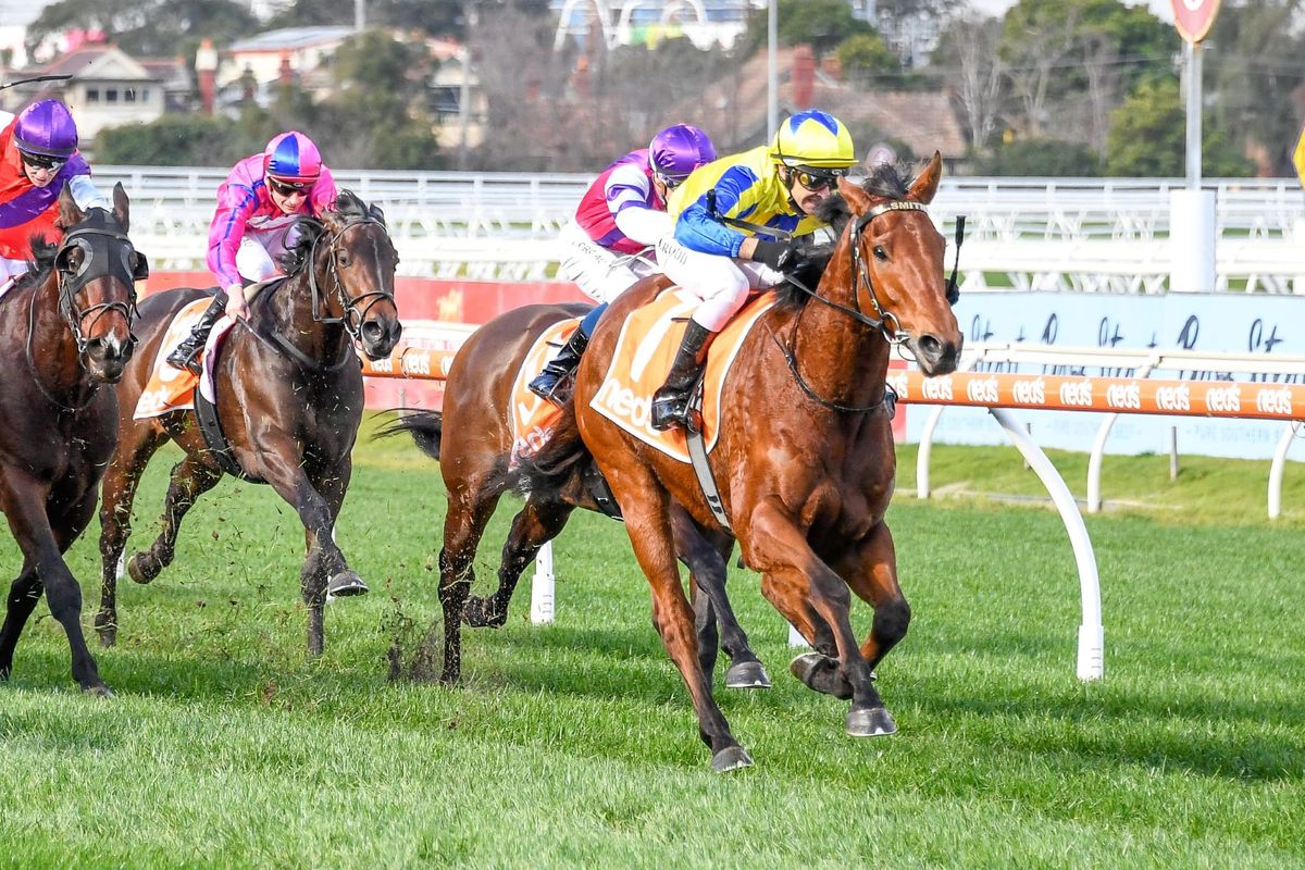 Rodd steers Mystery Shot to Caulfield win