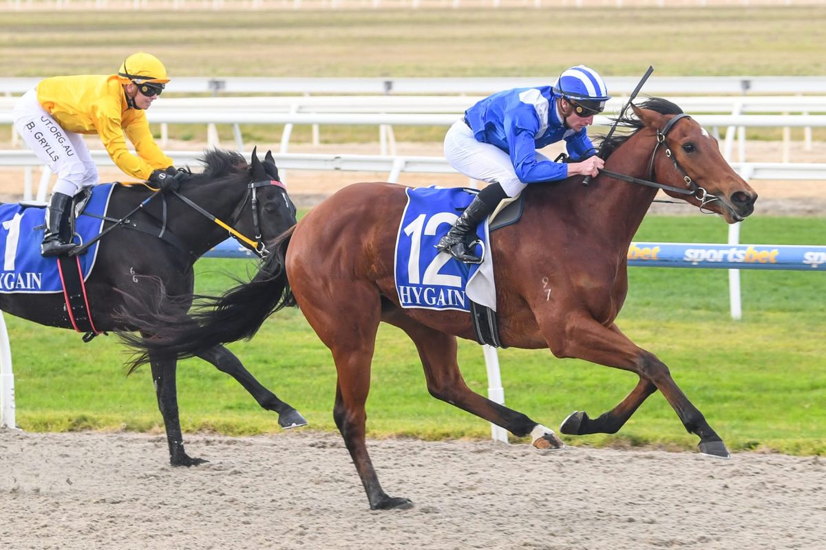 Over The Sky scores at Pakenham