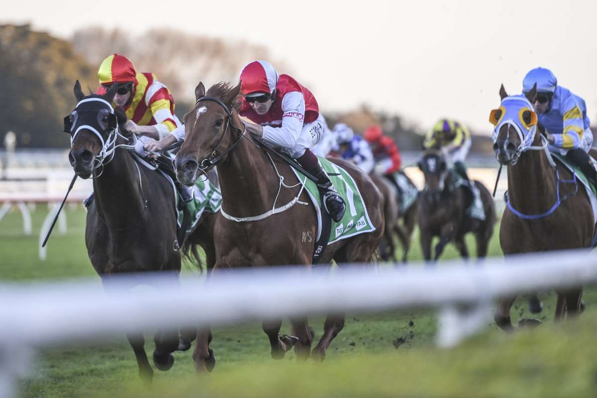 Opacity to have short break before spring