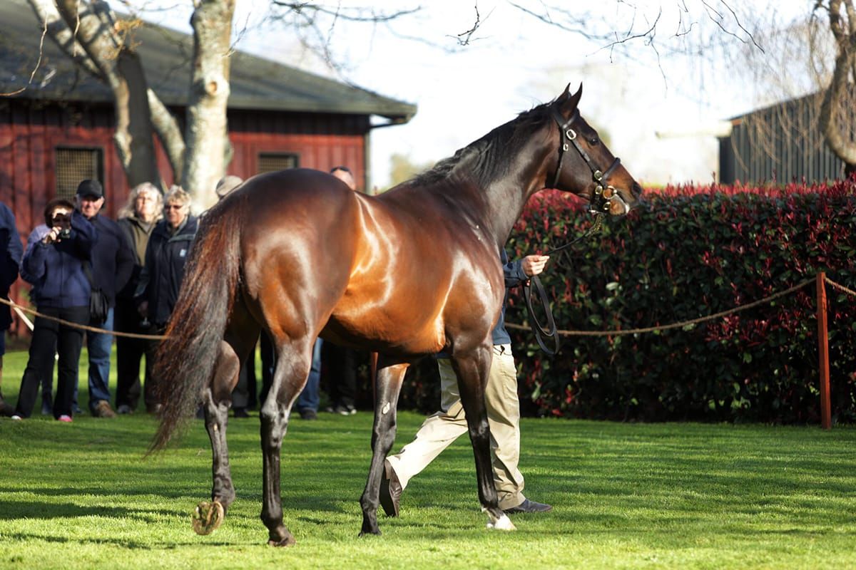 Brighthill Farm offer unique incentives for breeders