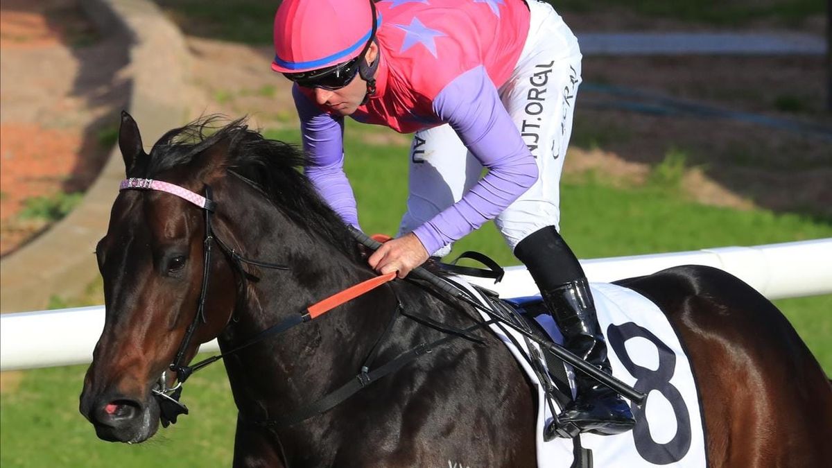 Trumbull lands overdue win in Civic Stakes