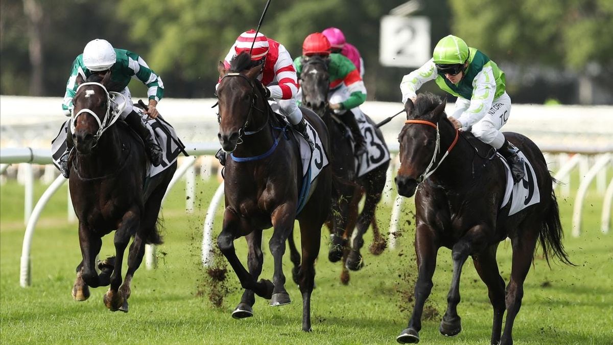 Warwick Farm juvenile winner for Proisir