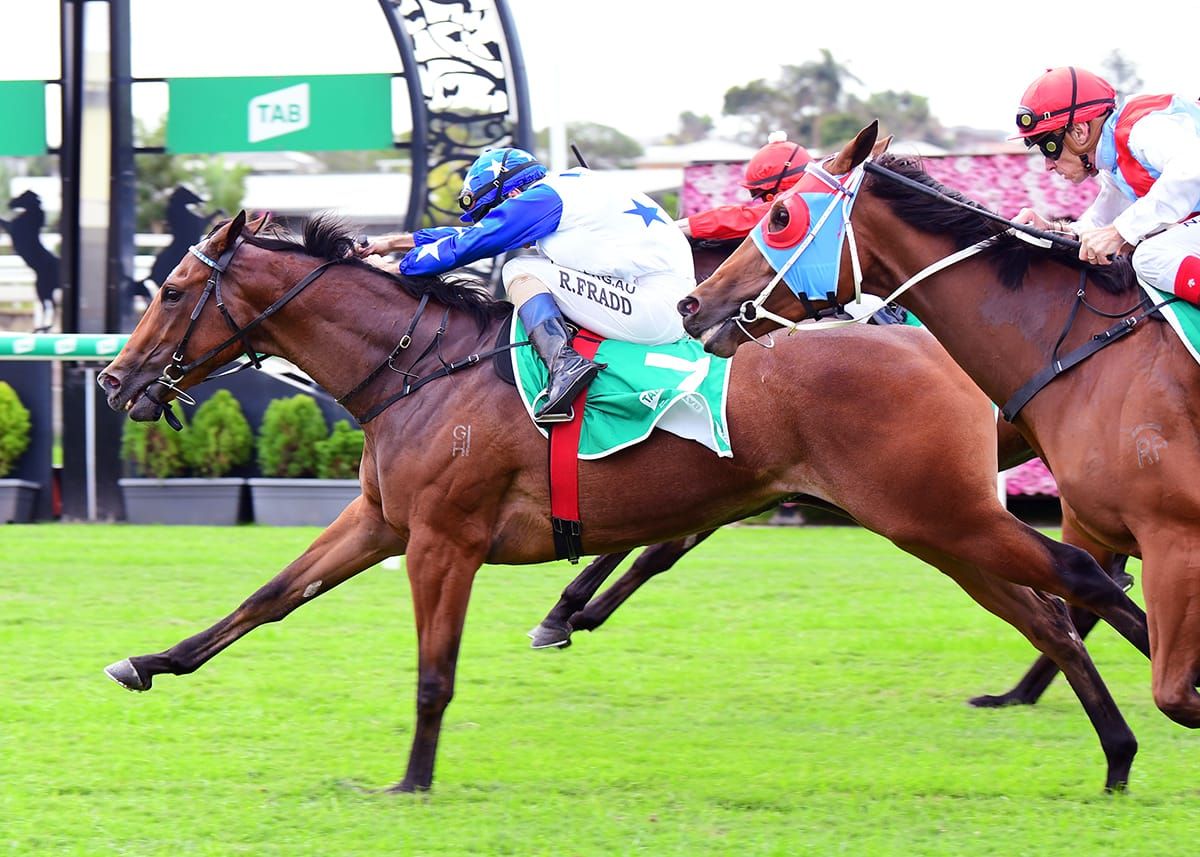 Smart 'N' Sexy breaks maiden in Dalrello