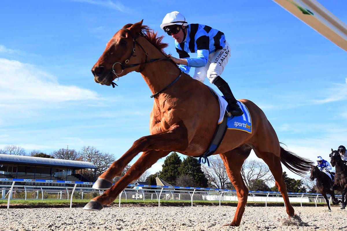 Promising stayer carries well-known colours to debut victory