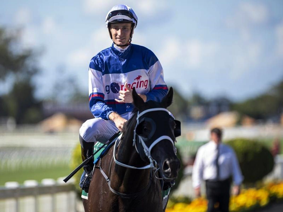 Waller to have big say in Tattersalls Cup