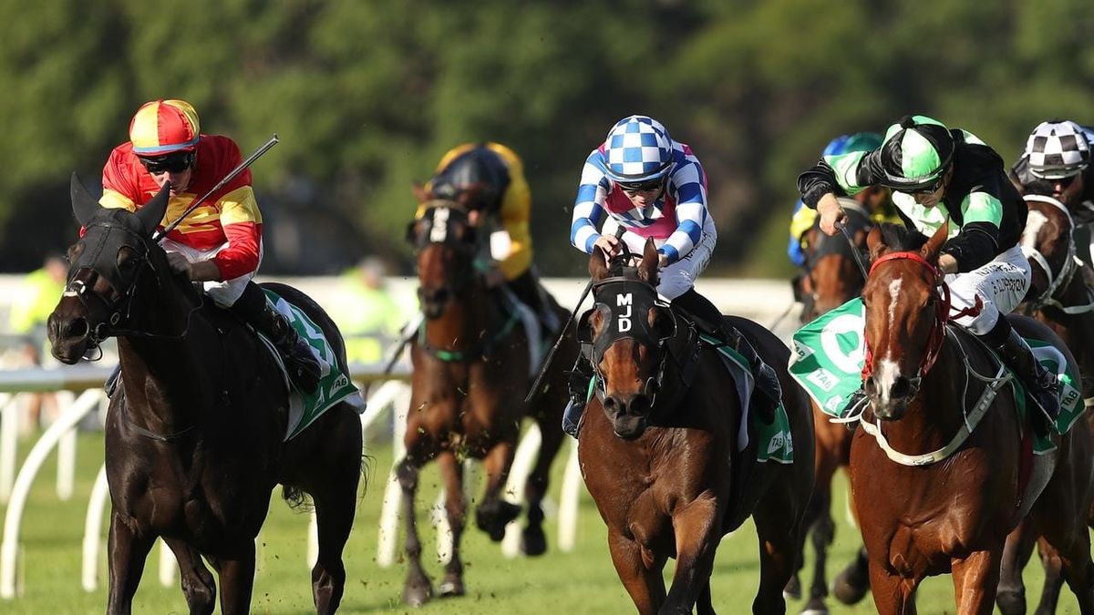 Stockman rounds up rivals at Warwick Farm